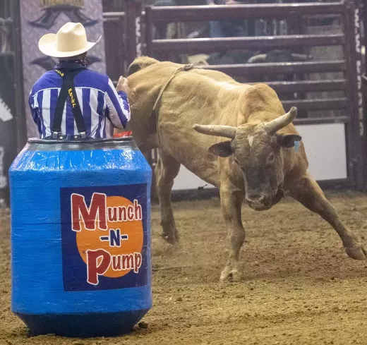 Injury Prevention in Rodeo: Essential Training Tips