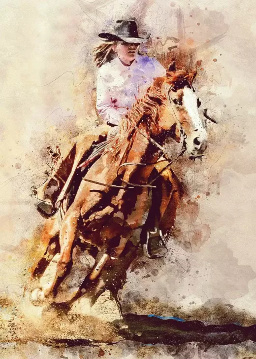 Exploring International Rodeo: Differences and Similarities