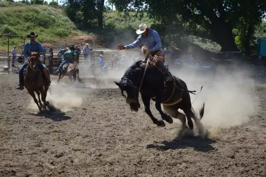 10 Unforgettable Moments from Global Rodeo Events